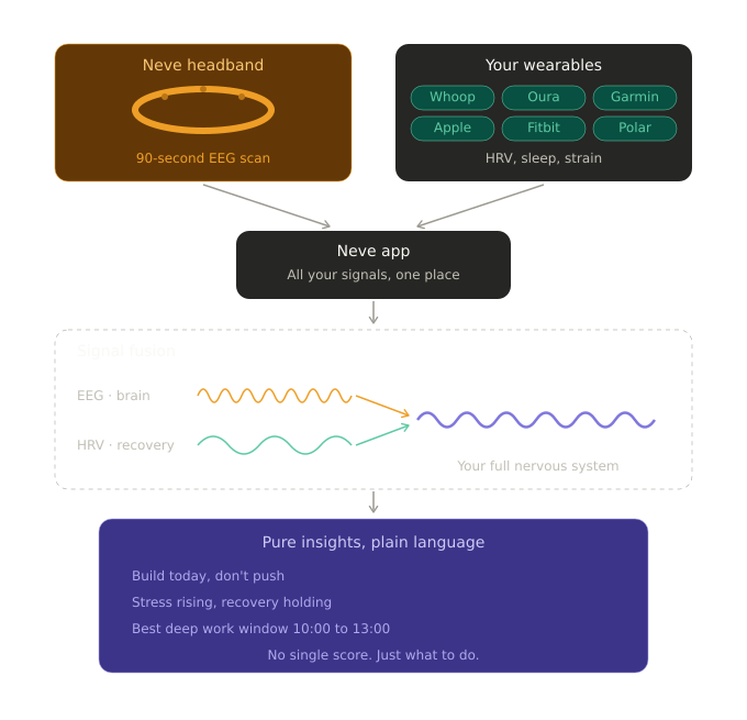 From raw EEG signal to a readiness score